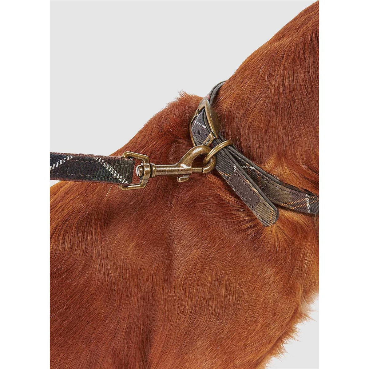 Tartan Webbing Collar D9643