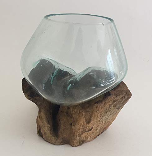 Hand Blown Molten Glass & Teak Wood Terrarium (6" - 7" High) X429