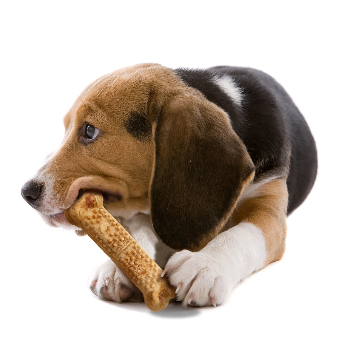 Large Edible Dog Chew Treat, Chicken Flavor, 2.2 Lbs. (18 Count) G379115