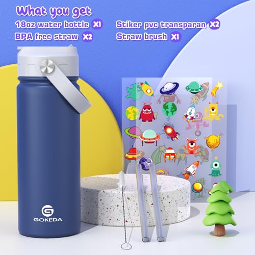 18oz Insulated Stainless Steel Kids Water Bottle with Stickers I3806