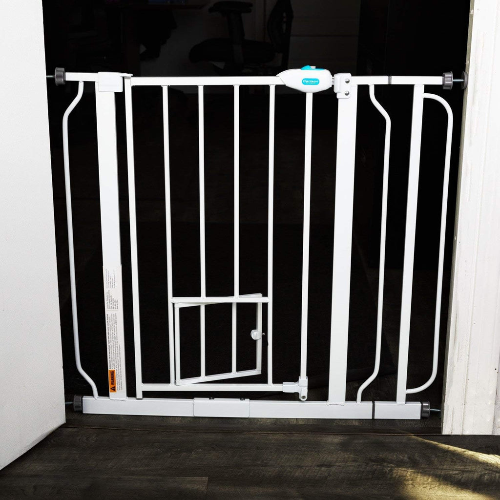 Extra Wide Walk-Through Gate Q1545
