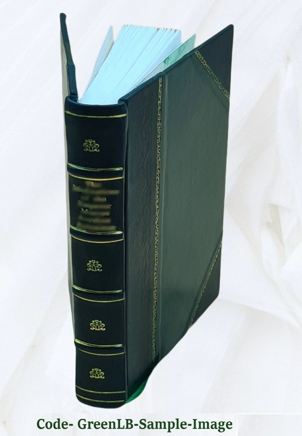 Leather Bound Book F973
