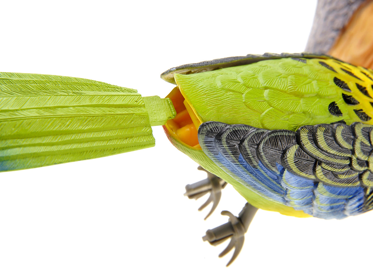 Wall Mount Dancing Bird Toy with Motion Sensor W722698