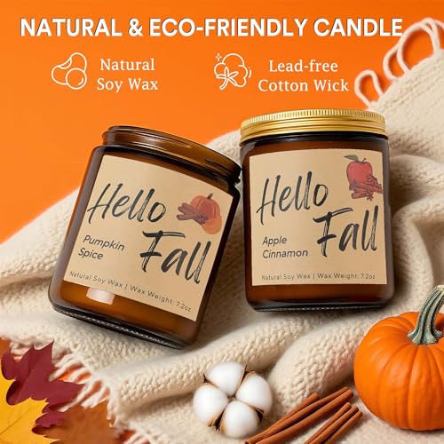 4 Pack Natural Soy Wax Christmas Candles R1397