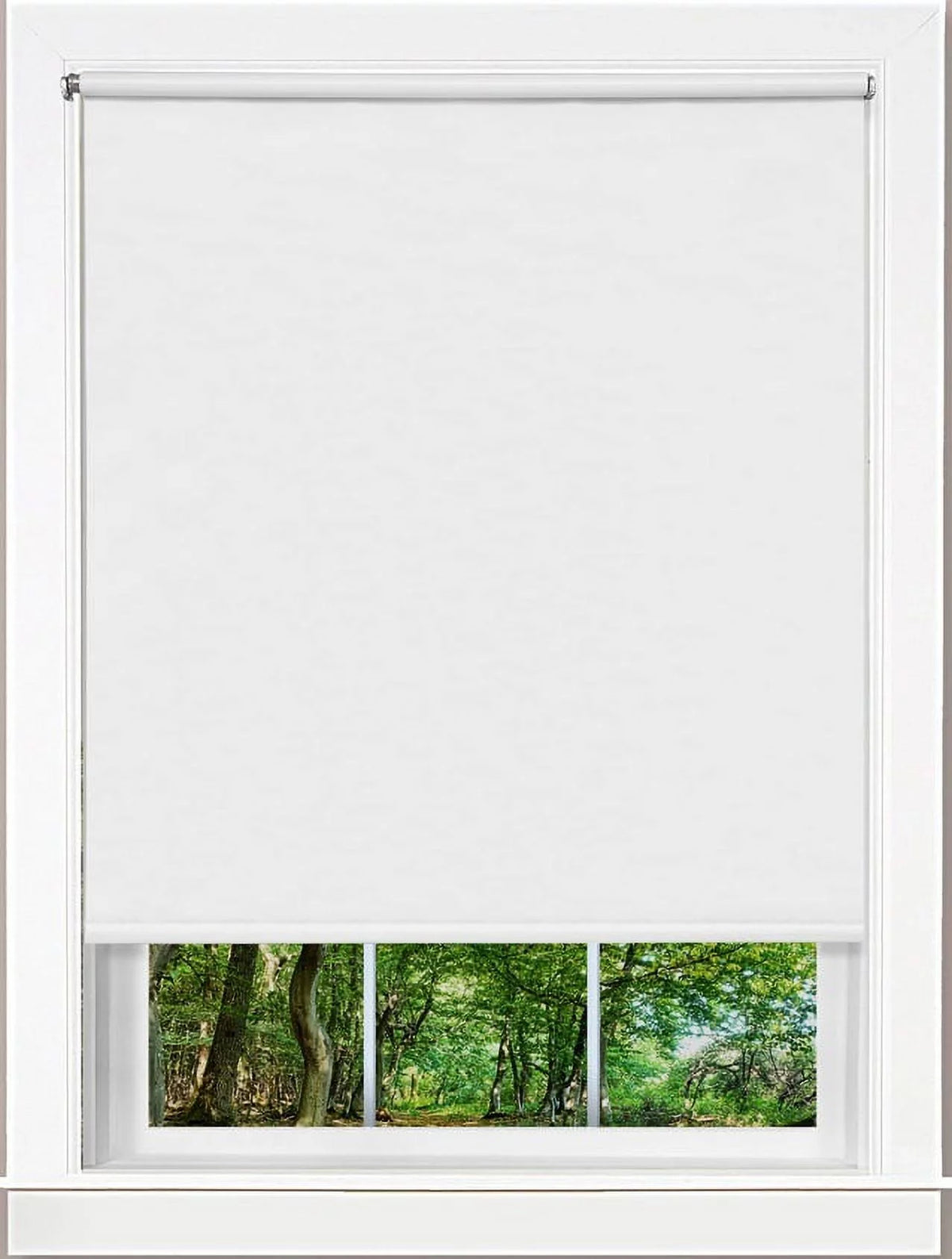 Cordless Light Filtering Vinyl Roller Window Shades, 4" x 39" T92543