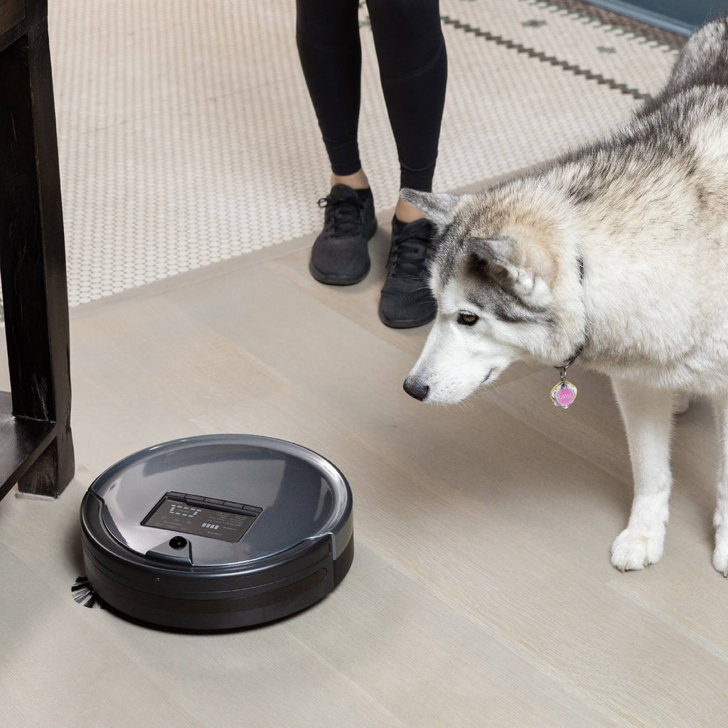 Charcoal Wet/Dry Robotic Vacuum O495