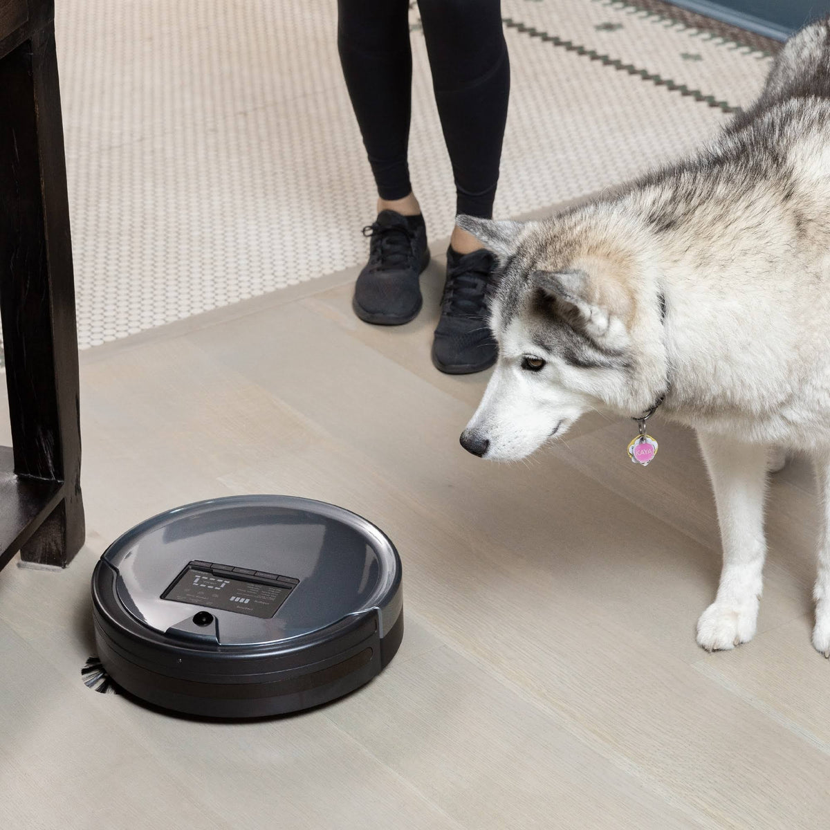 Charcoal Wet/Dry Robotic Vacuum O495