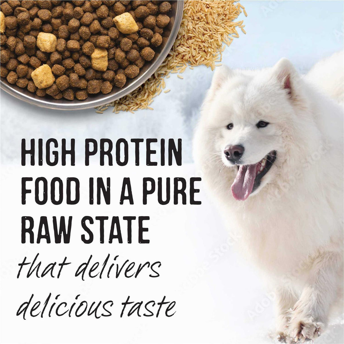 Grain Free Dry Dog Food M1639