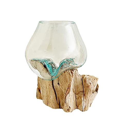 Hand Blown Molten Glass & Teak Wood Terrarium (6" - 7" High) X429