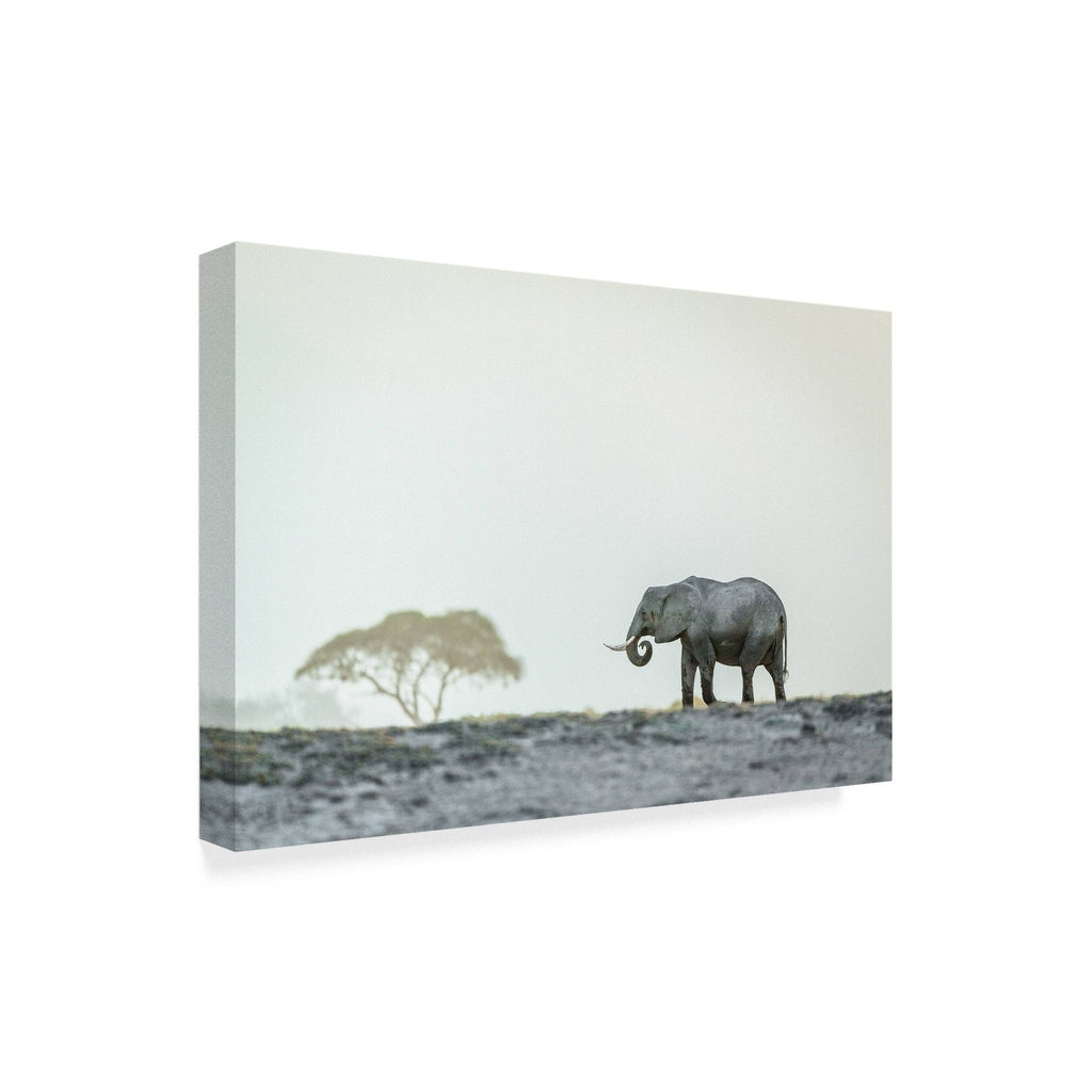 Canvas Art P2035