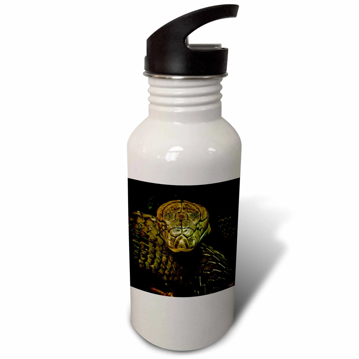 Green Coiled 21 oz Sports Water Bottle L25937