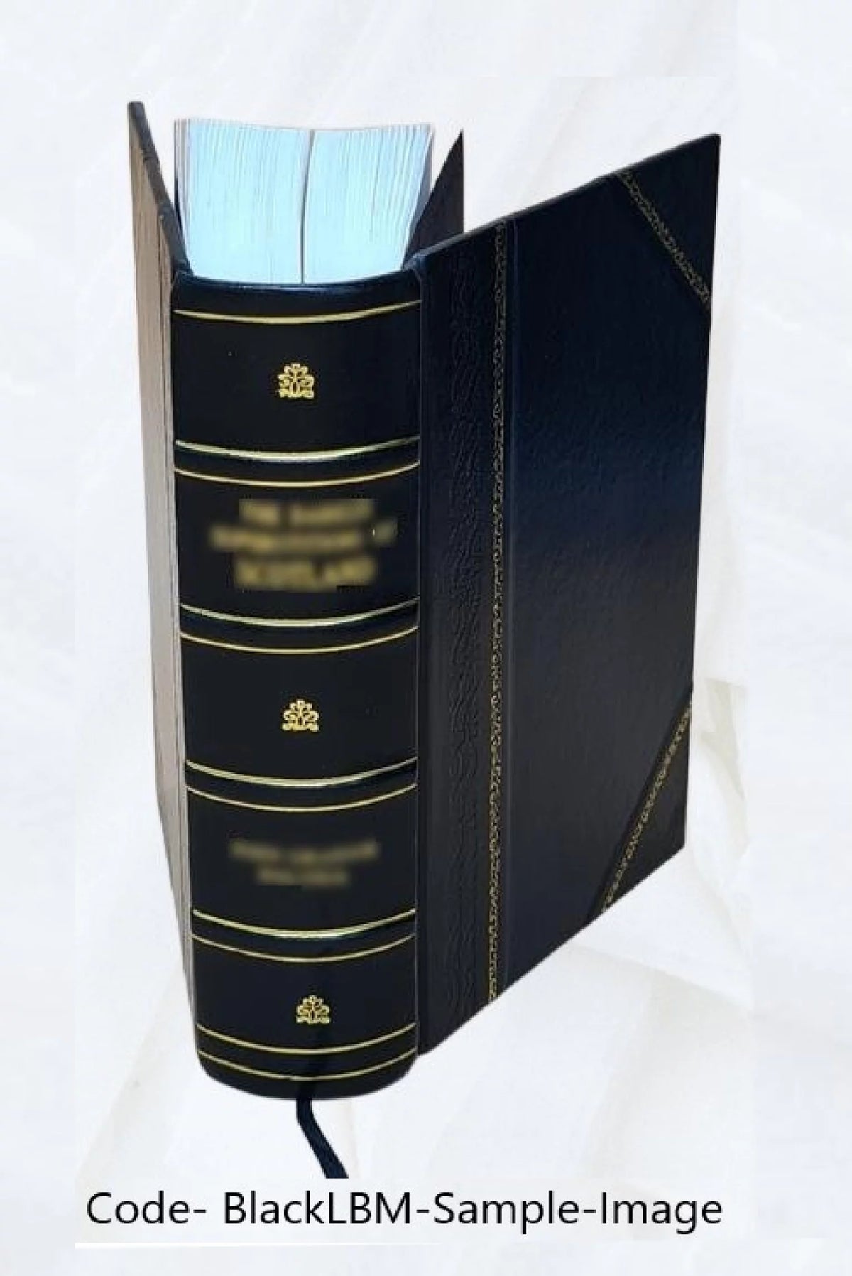 元城語錄解 : [3卷, 附行錄解] / 王崇慶撰 ; [李錫齡輯] Volume v.65-72 1846 [Leather Bound] H2301