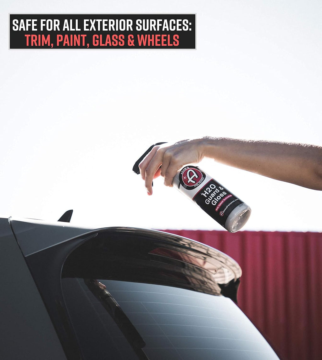 Hybrid Top Coat Silica Sealant Car Wax Polish Quick Detailer Pack of 2 Q1223