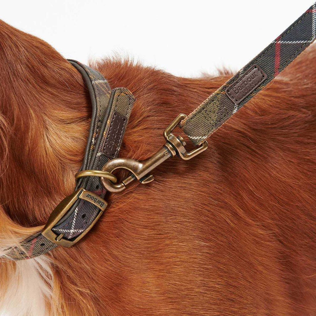 Tartan Webbing Collar D9643