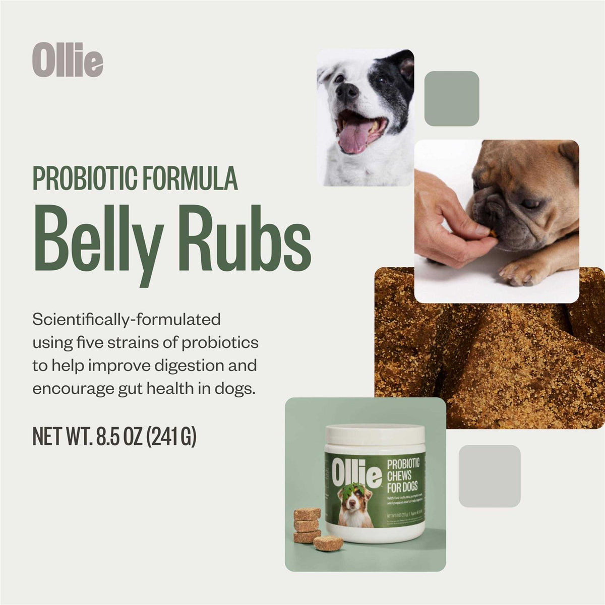 Probiotic Chews Dog Supplements D410601