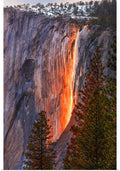 40x60 Poster Print H9014