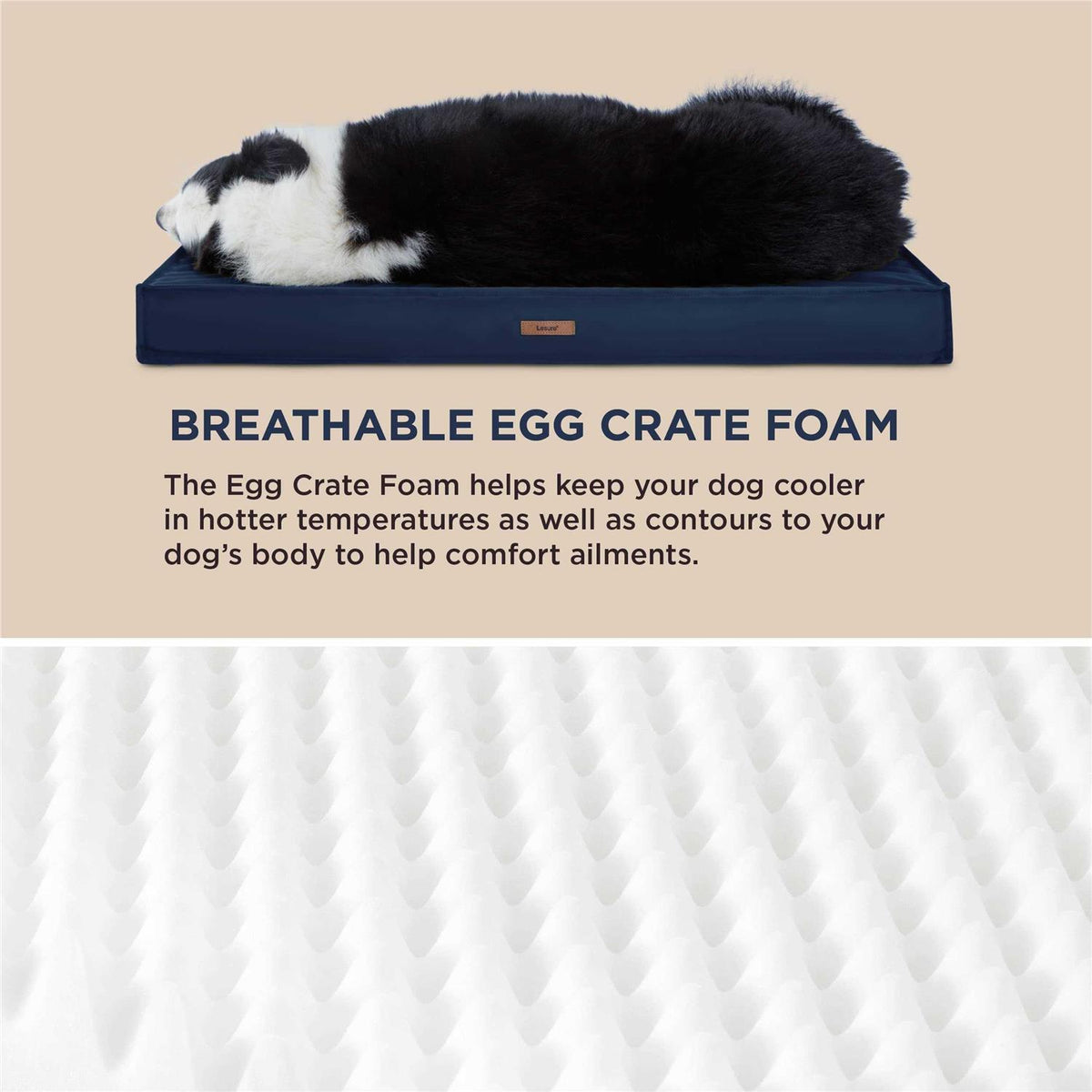 Waterproof Oxford Fabric Dog Bed U255171