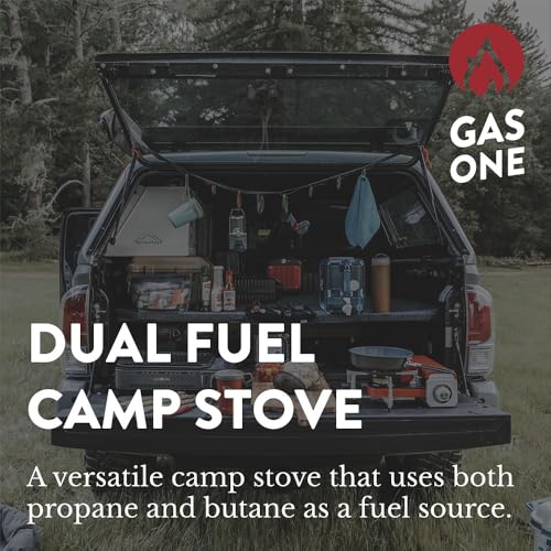 Dual Fuel Portable Camping Stove with Carrying Case E566021