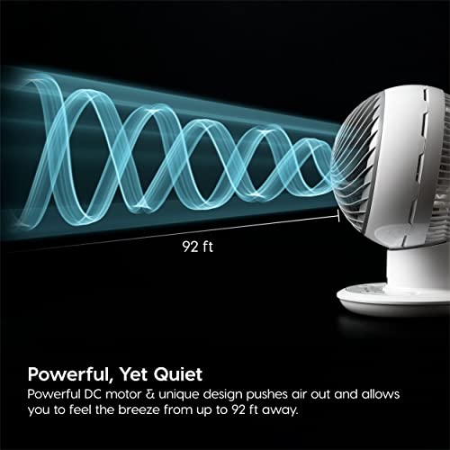 Large Oscillating 8-in-1 Fan with Remote and Timer Y767