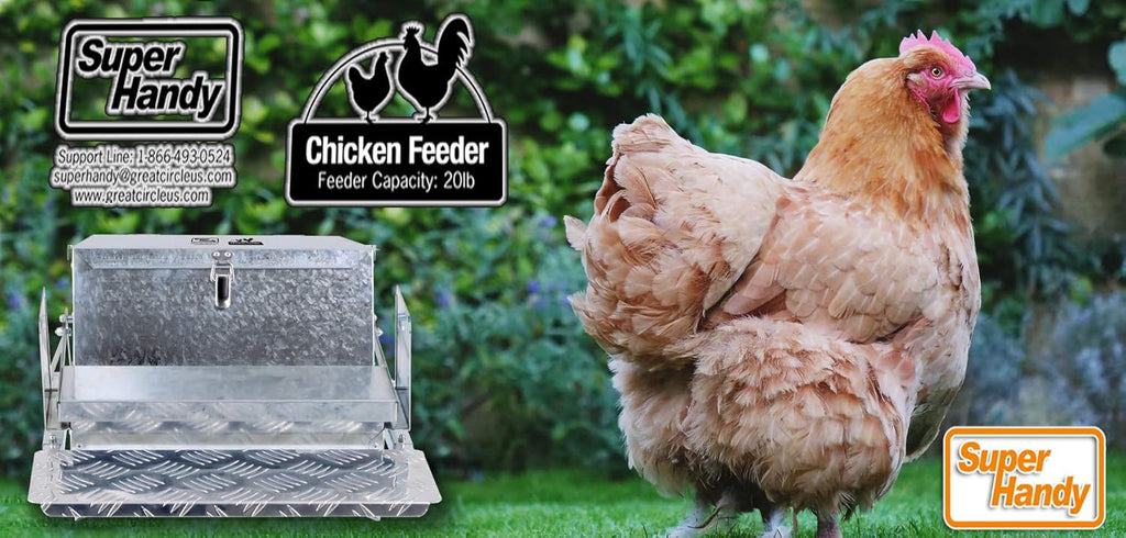 Chicken Feeder Automatic 20lbs Capacity Galvanized Steel V30503