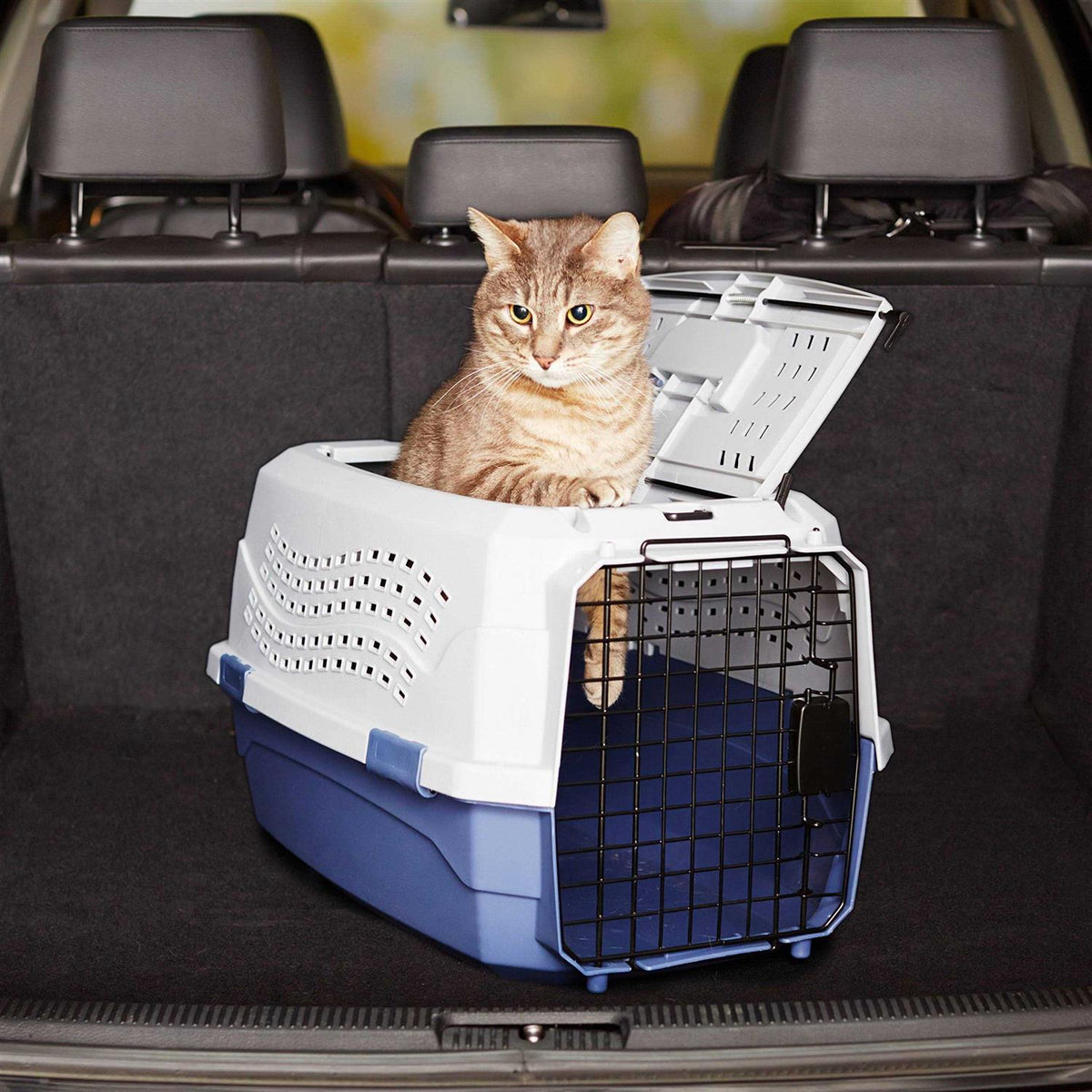 Two-Door Top-Load Hard-Sided Pet Travel Carrier T987