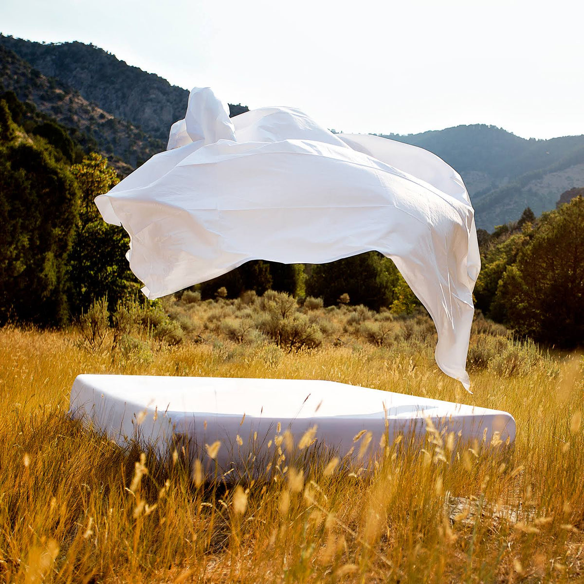 Italian Artisan Ivory Cal King Sheet Set P4333
