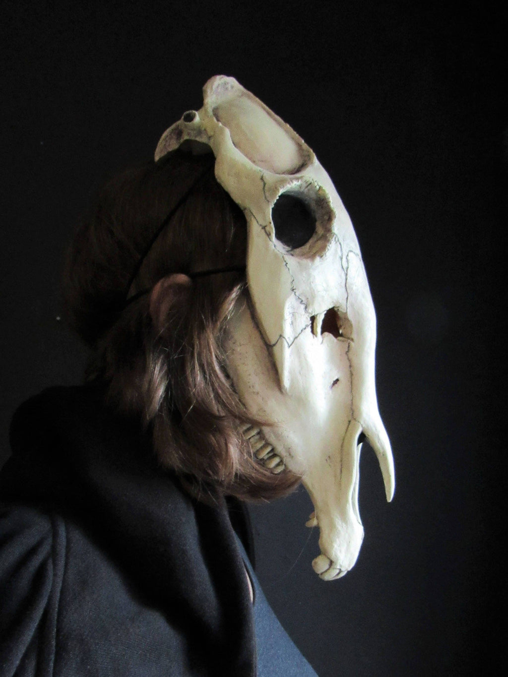 Horse Skull Mask Animal Cosplay Accessories G689
