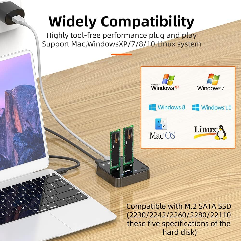 2 Bay m.2 SATA Docking Station Y25562