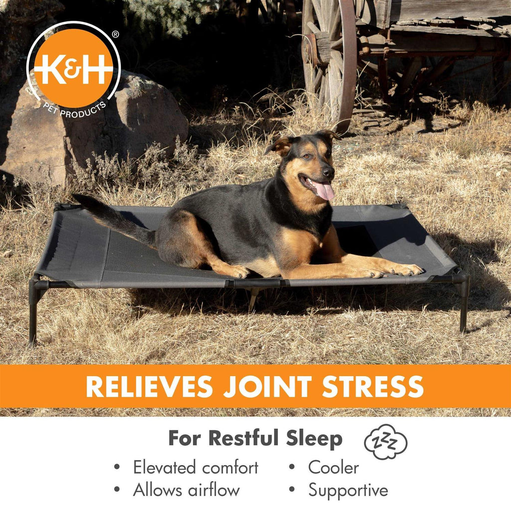 Realtree Pet Cot E81268