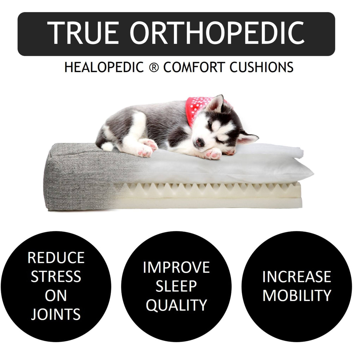 Orthopedic Dog Bed, Medium, Pink O677740