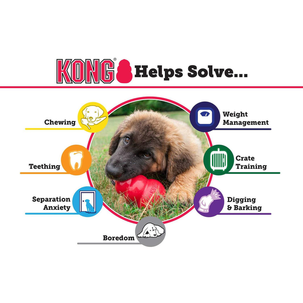 KONG Dog Toy X152