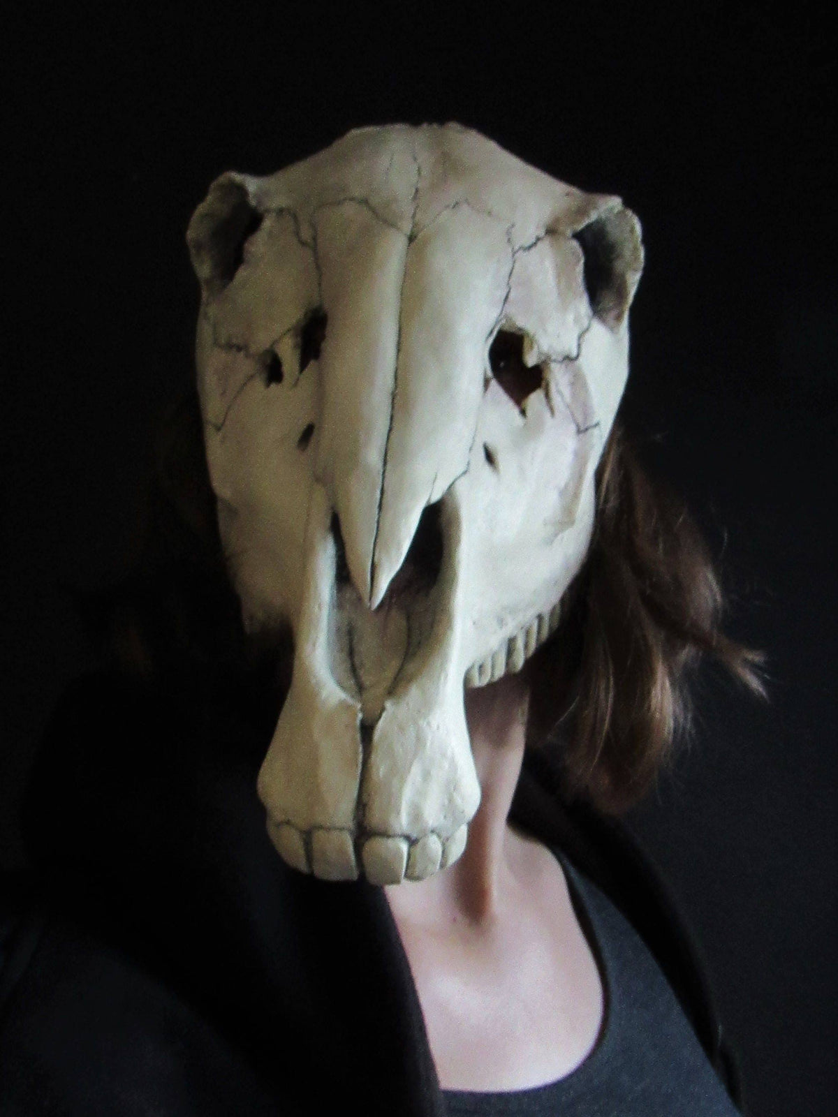 Horse Skull Mask Animal Cosplay Accessories G689