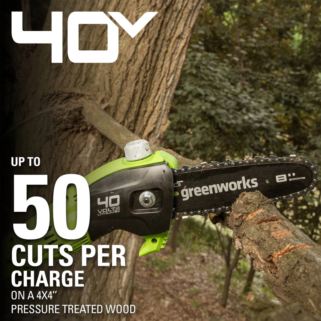 40V Cordless Pole Saw with 2.0 Ah Battery and Charger Q1884
