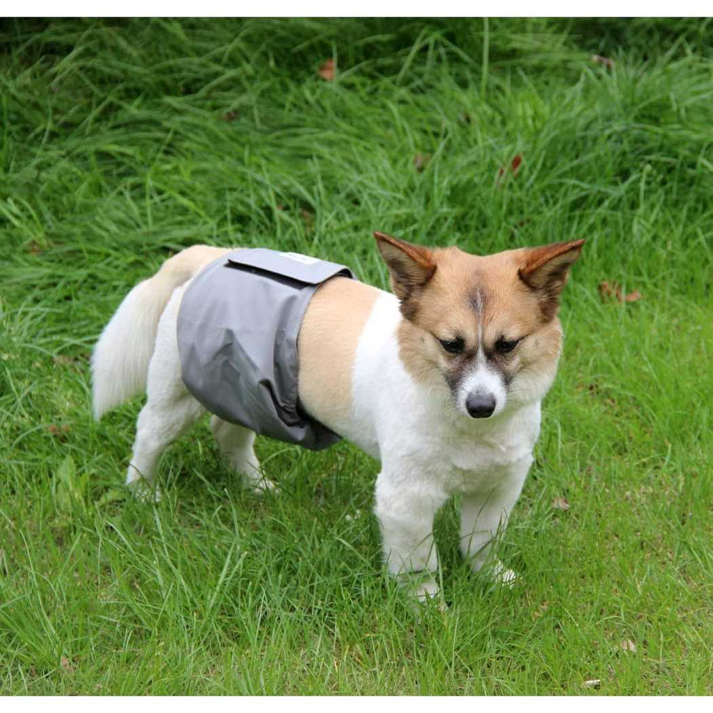 5 Pack Washable Dog Diapers Male A101