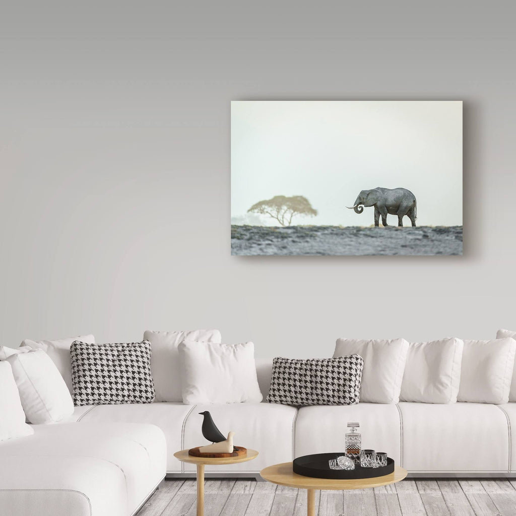 Canvas Art P2035
