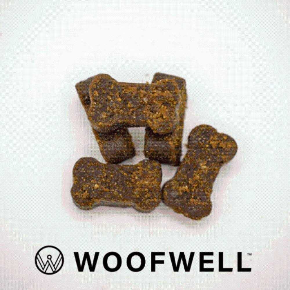 Bacon Flavored Soft Chews Dog Supplement J813