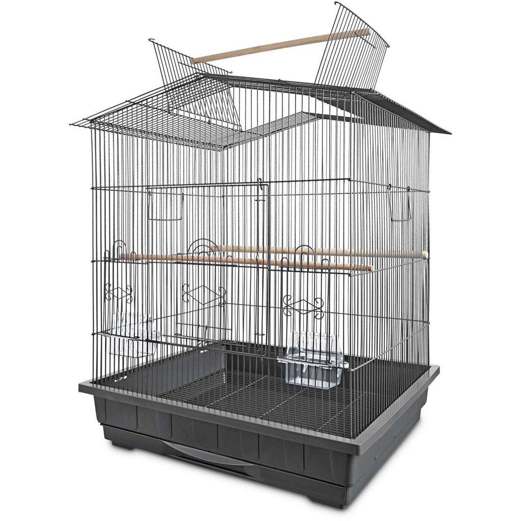 Parrot Habitat F76806