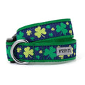 Dog Collar M306416