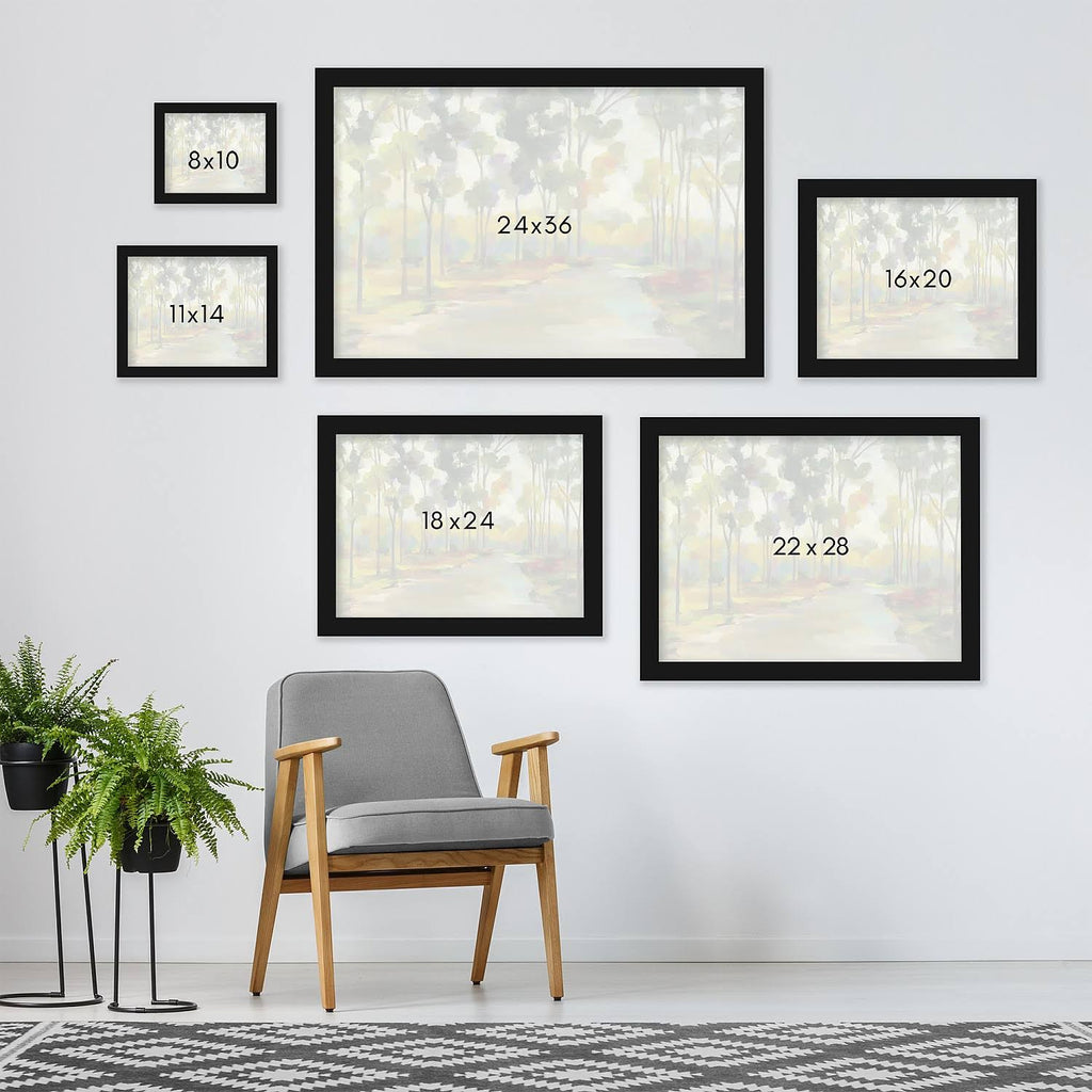 Black Framed Print 22x28 C919131
