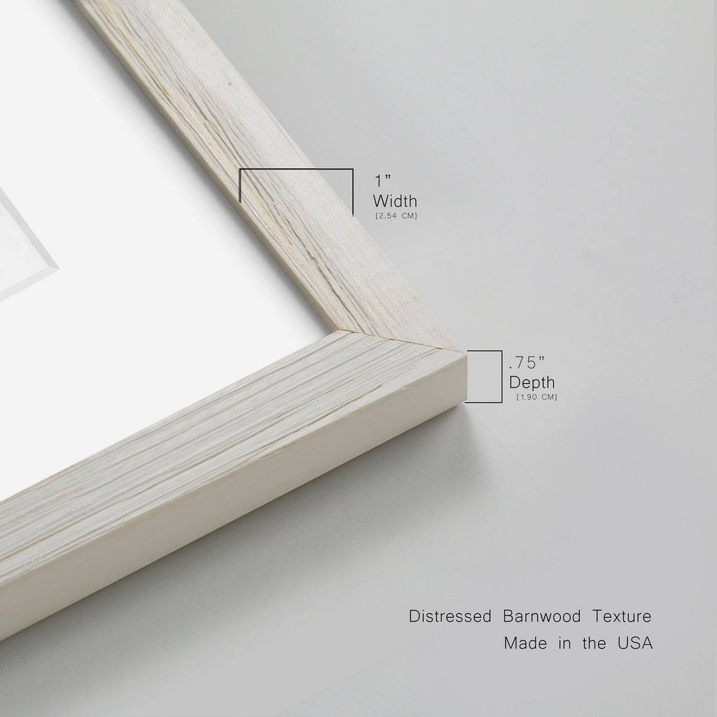 Framed Print R94571