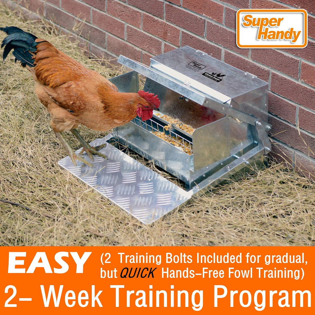 Chicken Feeder Automatic 20lbs Capacity Galvanized Steel V30503