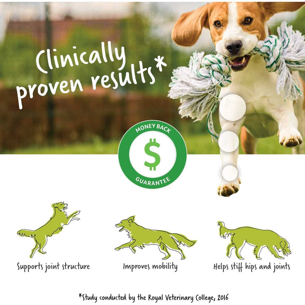 Soft Chew Dog Supplement G258