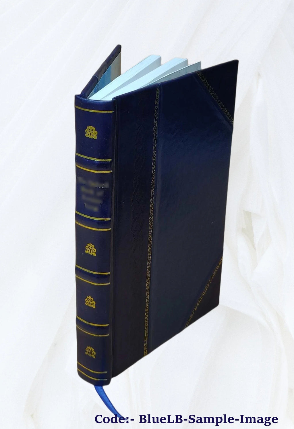 Leather Bound Book F973