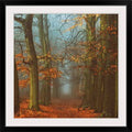 Black Framed Print 32x22 P271633