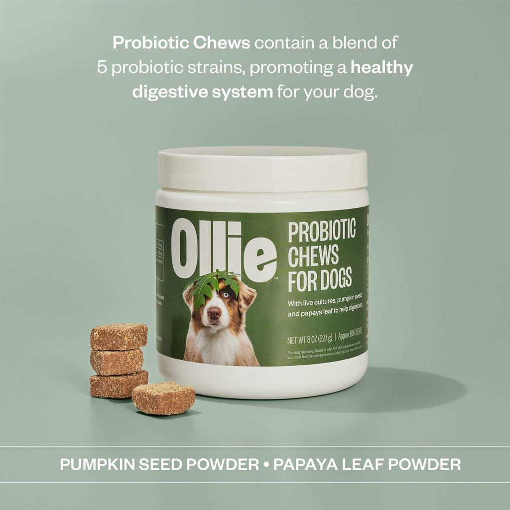 Probiotic Chews Dog Supplements D410601