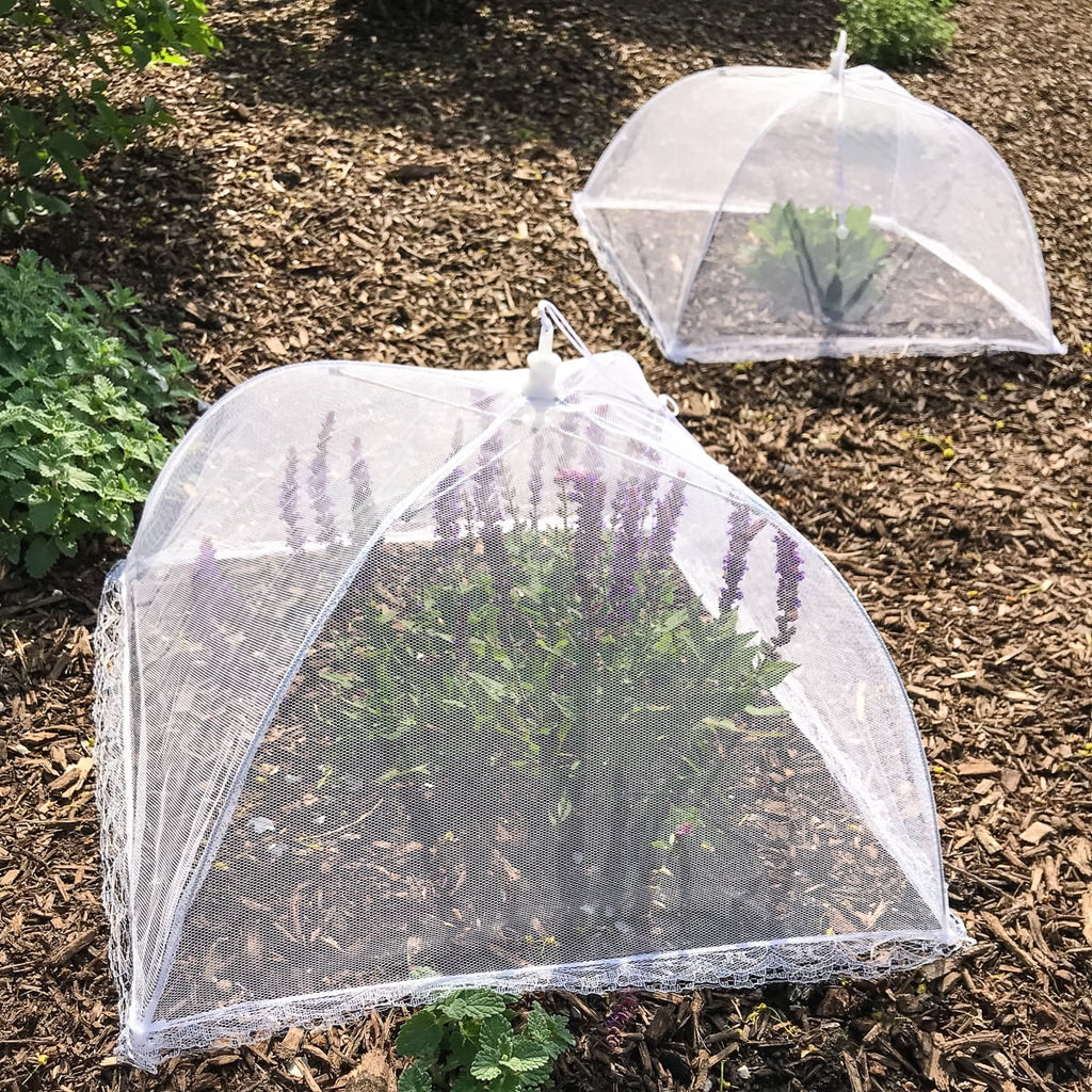 12 Pack 17x17 Pop-Up Mesh Food Covers F154408