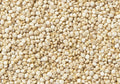 White Quinoa Grains M679708