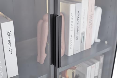 Glass Display Cabinet with Light Strips, 5 Shelves, Glass Doors V4110