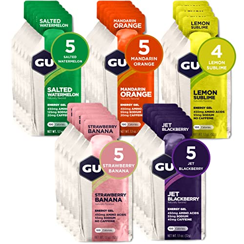 24-Count Assorted Flavors Energy Gel V241