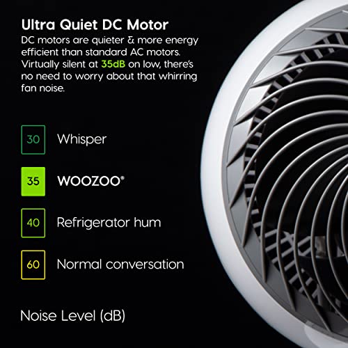Large Oscillating 8-in-1 Fan with Remote and Timer Y767